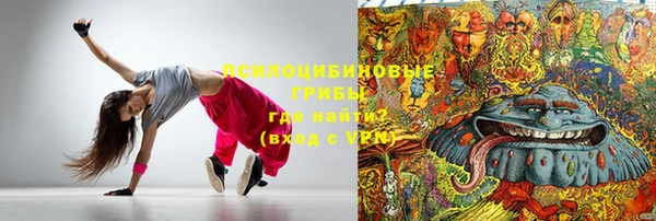 дмт Нягань