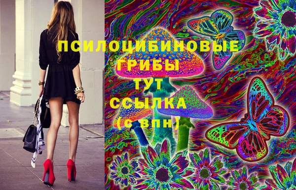 метадон Новозыбков