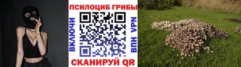 Псилоцибиновые грибы мицелий  купить закладку  Кизел 